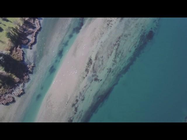 Dronenflug Wohlensee