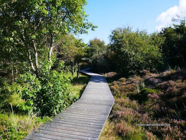 Urlaubs Paradies Amrum(Meine Wanderung zum Kniepsand über den Yachthafen und Wriakhörnsee   HD 720p