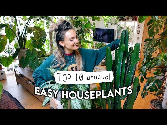 10 EASIEST Unusual Indoor Plants  Easy Houseplants Even YOU Can't Kill