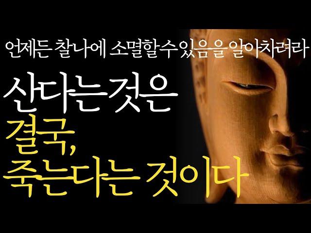 석가모니 명언 | 인생조언ㅣ수많은 죽음을 목격하면서 깨닫게 된 행복의 비밀 l 평온한 삶과 죽음을 받아들이는 방법 | 90세가 가까워지니 죽음의 불안이 찾아왔다 | 부처님말씀 지혜