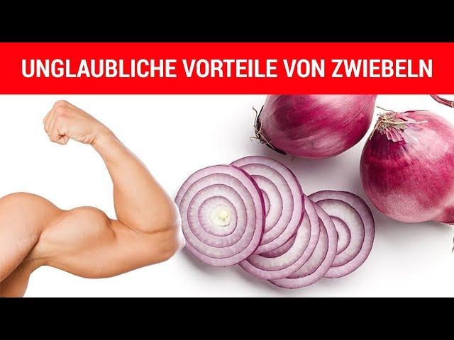 Warum bereits eine Zwiebel am Tag deine Gesundheit unterstützt!