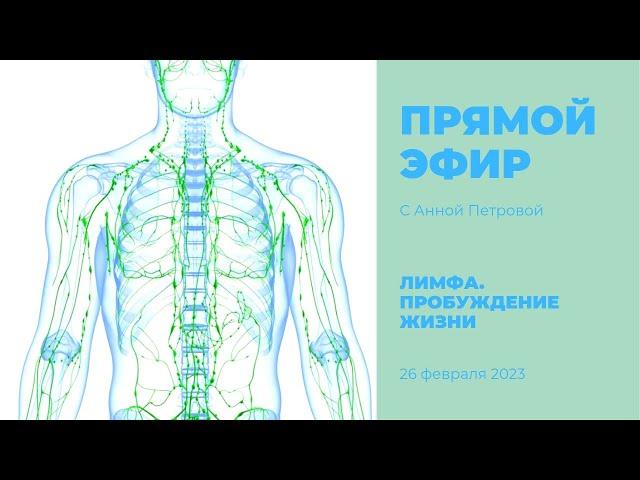 Кундалини йога. Лимфа. Пробуждение жизни. Практическое занятие с Анной Петровой