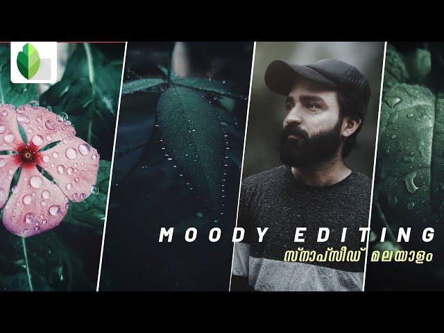 How to edit MOODY DARK photos using Snapseed