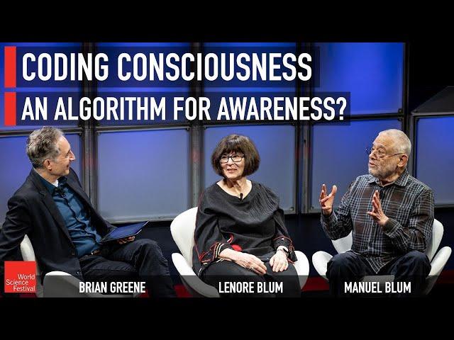 Coding Consciousness: An Algorithm for Awareness?