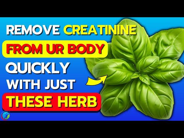 Top 6 Best NATURAL HERBS To REDUCE CREATININE Levels Effectively | Health Solutions