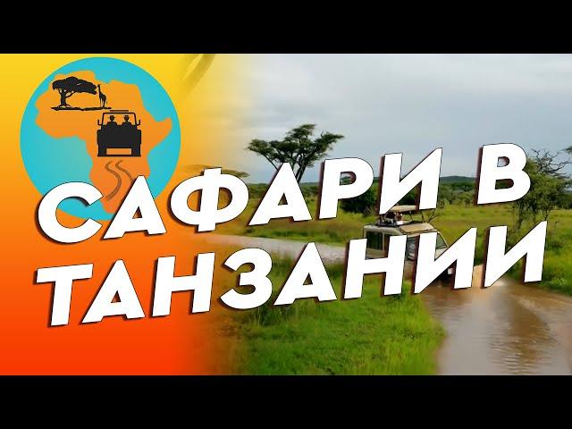 Сафари в Африке. Национальные парки Танзании 