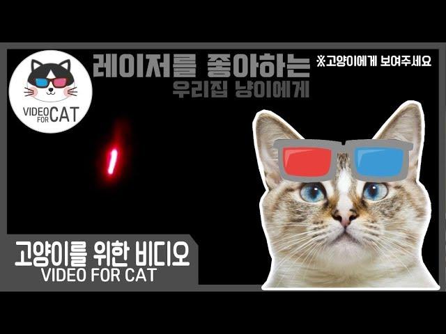 [고양이를 위한 비디오] VIDEO FOR CAT 고양이들이 힐링하는 ASMR, 레이저! #고양이레이저 #고양이놀이 #고양이레이저놀이