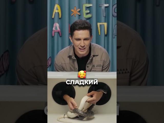 Дима Масленников угадывает за несколько секунд ️️️️️️ #кликклак #димамасленников #кажетсянащупал