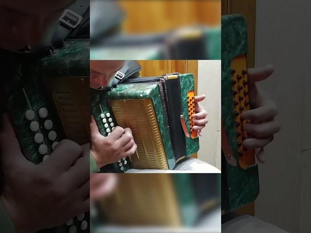 как быстро научиться играть Цыганочку с выходом на гармони три аккорда 300 песен к Новому году