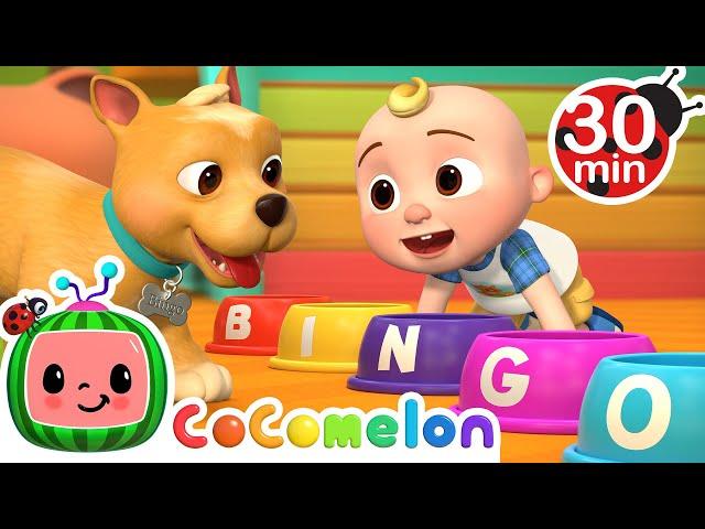 Bingo Was His Name-O + MORE Dog Songs! CoComelon Nursery Rhymes & Animal Songs