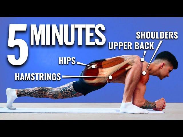 How To Unlock Your Mobility in 5 Minutes (DAILY STRETCH)