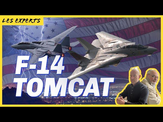 Le F-14 Tomcat en détail. #jumpseat