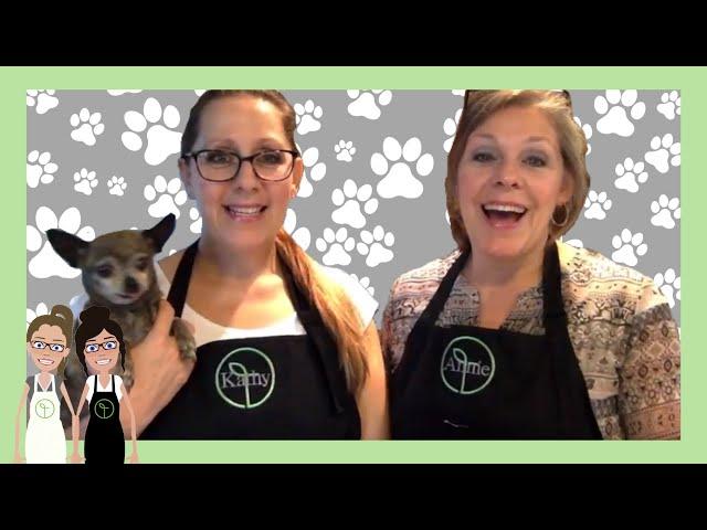 Thrive Food for Pets | DIY Homemade Dog Food