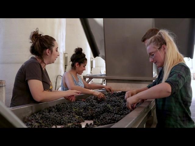 Fresno State Winery Spotlight