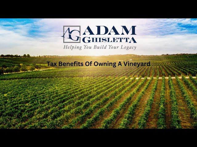 Tax Benefits Of Owning A Vineyard