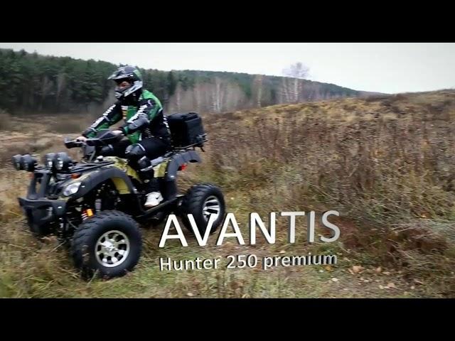 Avantis в Зеленограде zel-moto.ru