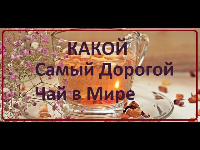 Какой Самый Дорогой Чай в Мире