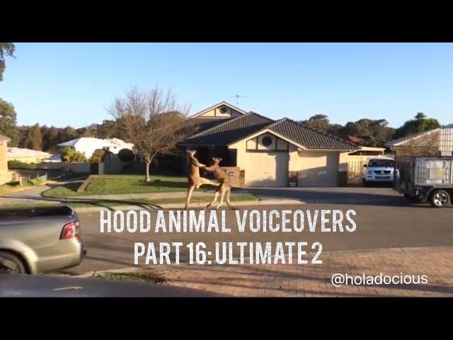 Hood Animal Voiceovers Part 16: Ultimate 2!