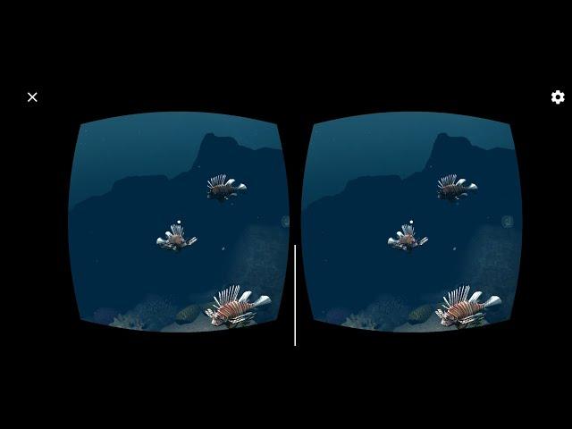 Fish in coral reefs VR box 360