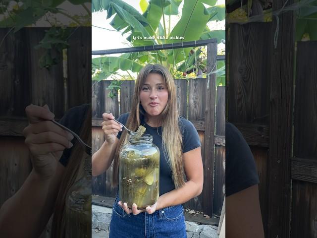 Traditional fermented pickles! No vinegar needed—just water, salt, and cucumbers #fermentation
