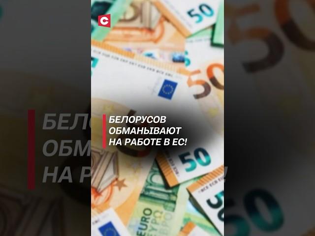 Белорусов обманывают на работе в ЕС! #политика #новости #литва #ес #евросоюз