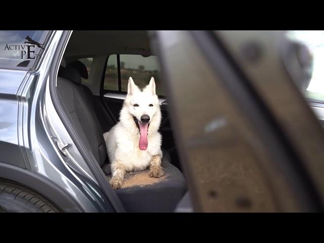 ACTIVE PETS סרטון תדמית- Kwix Digital מיתוג | פרסום | דיגיטל - חברת פרסום