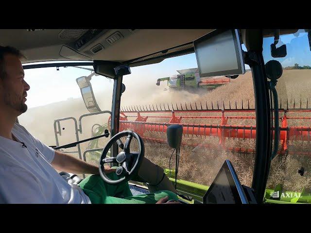 CLAAS LEXION 7700 Montana VLOG