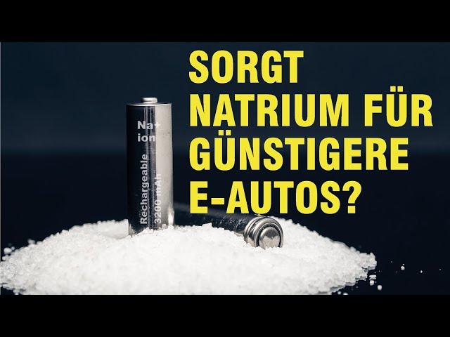 Prof. Fichtner & Prof. Kranz: Batterien ohne Lithium | Podcast