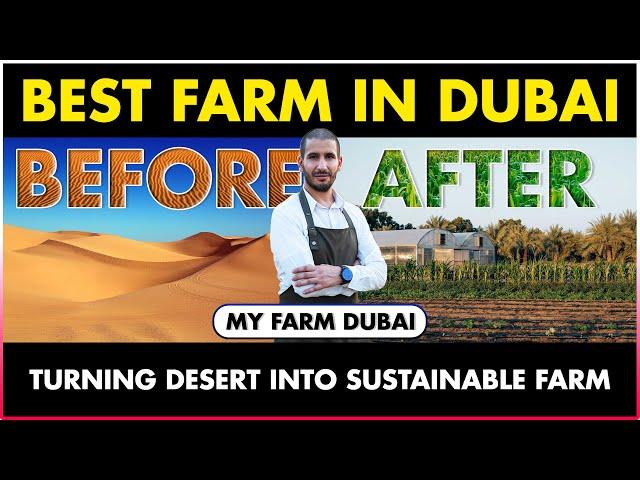 Best Sustainable Farm in Dubai | My Farm Dubai | Agriculture in Desert | Farming in Sandy Soil