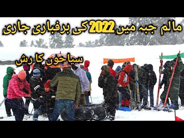 Malam Jabba 2022 Heavy Snow Fall continue | Swat Valley | Travel Pakistan