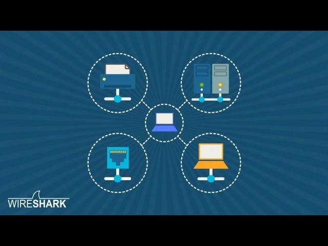 The Complete Wireshark Course: Go from Beginner to Advanced!