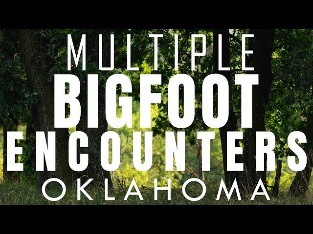 MULTIPLE BIGFOOT ENCOUNTERS FROM OKLAHOMA | THE CREATURE WAS SURPRISED TO SEE ME!!! #bigfoot