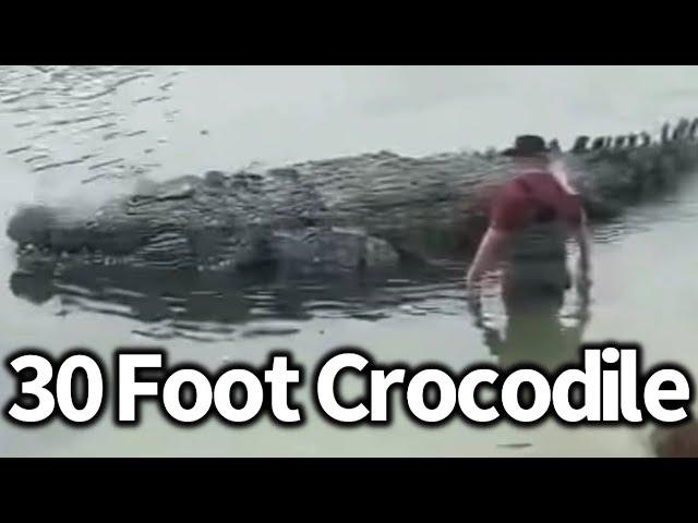 The 30 Foot Crocodiles in the Congo, Mahamba