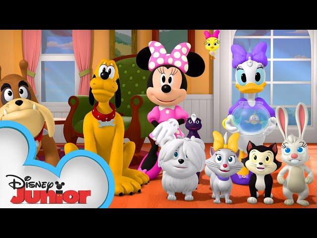 The Happy Helpers Pet Sit | Mickey Mornings | Mickey Mouse Mixed-Up Adventures | @disneyjr