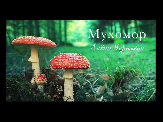 Мухомор.  Алёна Черняева