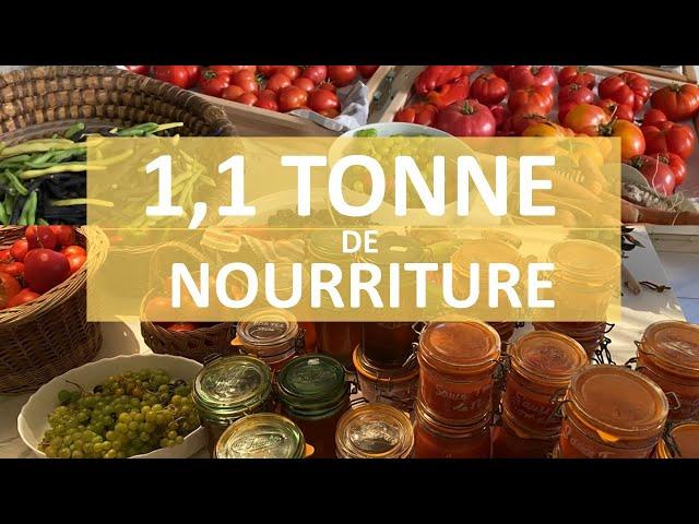 1 Tonne et 98kg de nourriture en 2022 : le BILAN de production