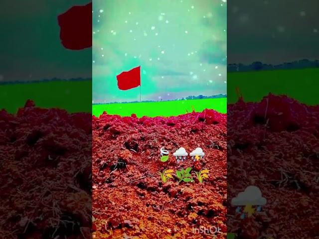 Mosam hin video #royal rdx2