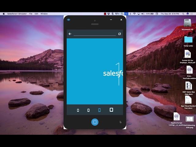 Delivery Service Management - Salesforce Lab App Demo 09-2017