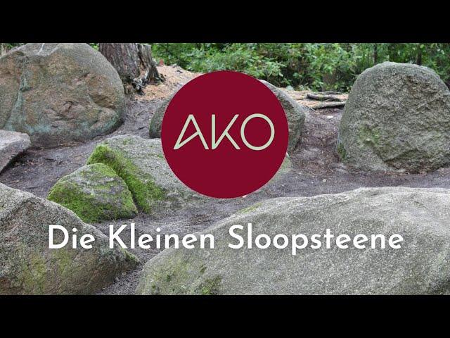 Die Digitale Konservierung der Kleinen Sloopsteene