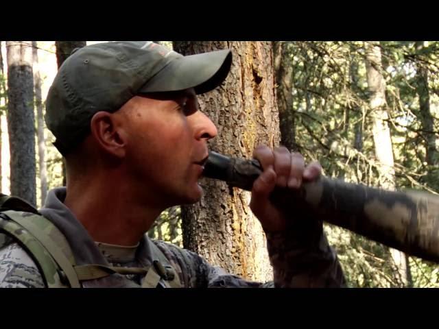 Corey Jacobsen's Elk Calling Basics