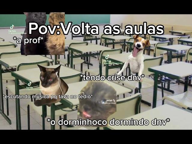 Pov dos gatinhos! eu demorei pra fazer espero q gostem