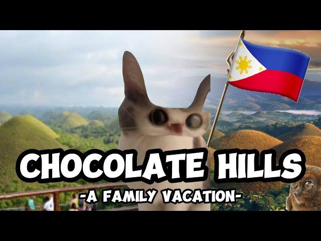 CAT MEMES:  FAMILY VACATION BOHOL COMPILATION