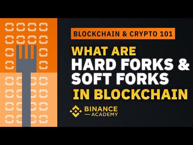 What Are Hard Forks & Soft Forks in Blockchain  ｜Explained For Beginners