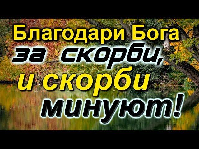 Ничего не бойся! Благодари Бога за скорби и скорби минуют!