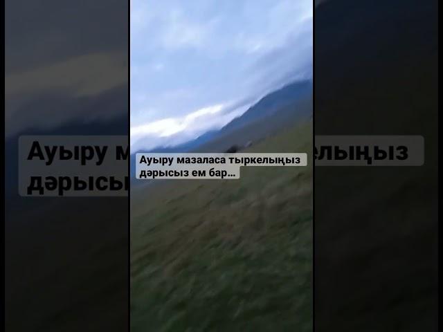 Сау кезыңызде тыңдаңыз айтамын