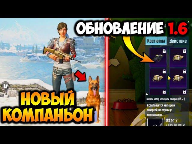 НОВЫЙ КОМПАНЬОН  В ПУБГ МОБАЙЛ! УТЕЧКИ ROYAL PASS 3 СЕЗОНА В PUBG MOBILE! БЕСПЛАТНО 3 ROYAL PASS