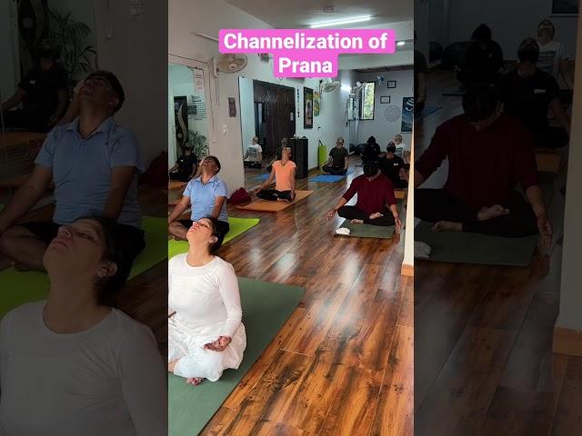 #tapasviniyoga #tapsijusta #yoga #healthy #trending #lifestyle #love #spirituality #divinefeminine