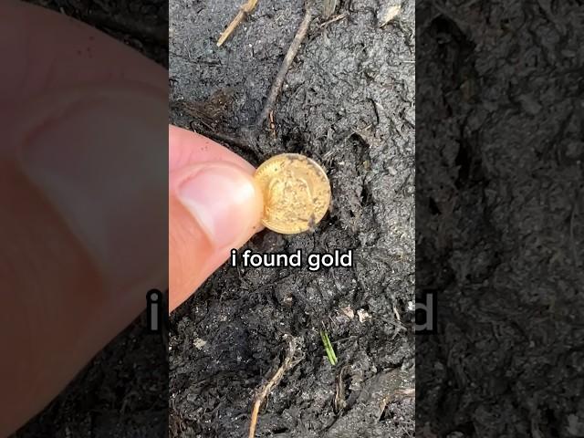 Can You Find Gold in Dirt?