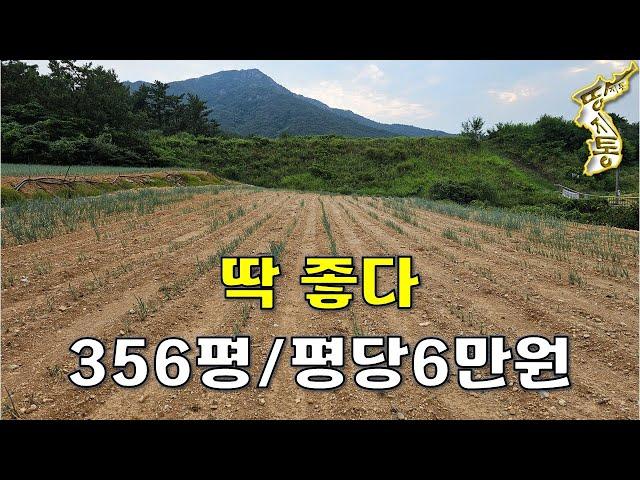 그림 같은 풍경의 땅356평 평당6만원~[땅지통]