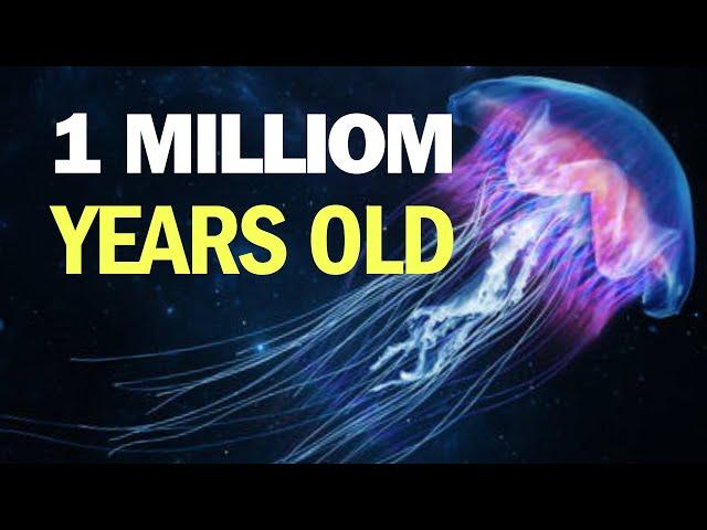 Find Out 15 Longest Living Animals on Earth | DPFunFacts